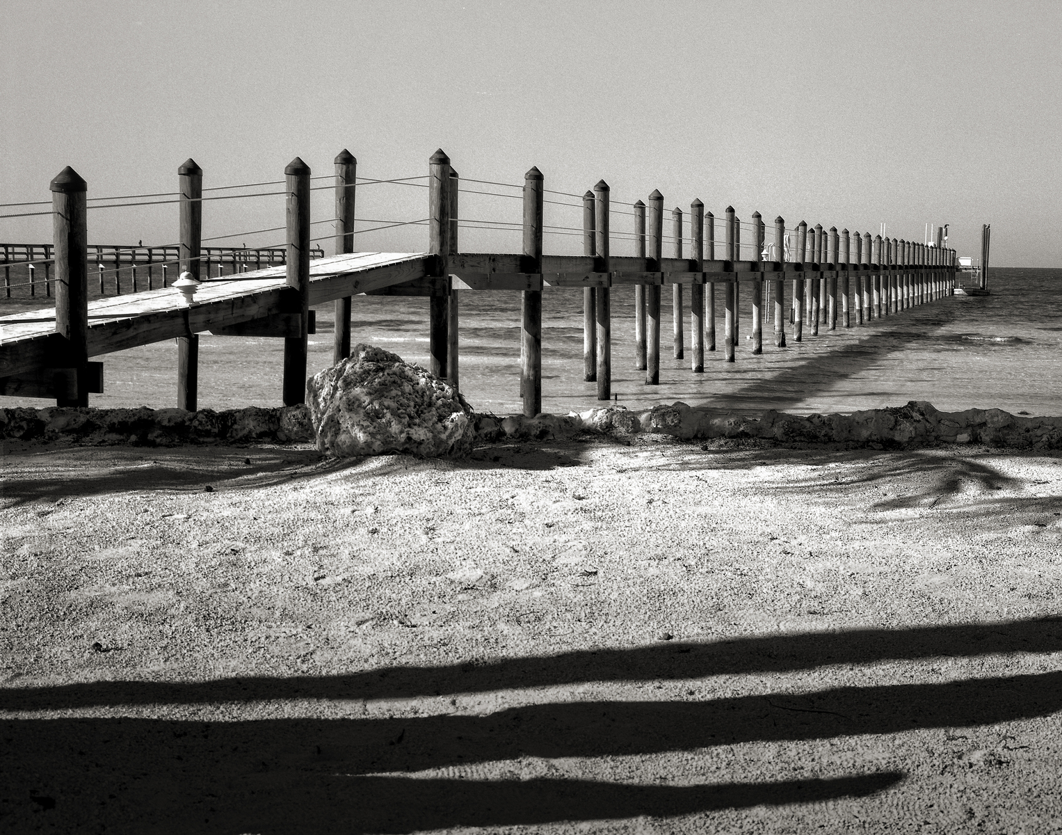 islamorada, florida : landscapes & nature : paula berg photography