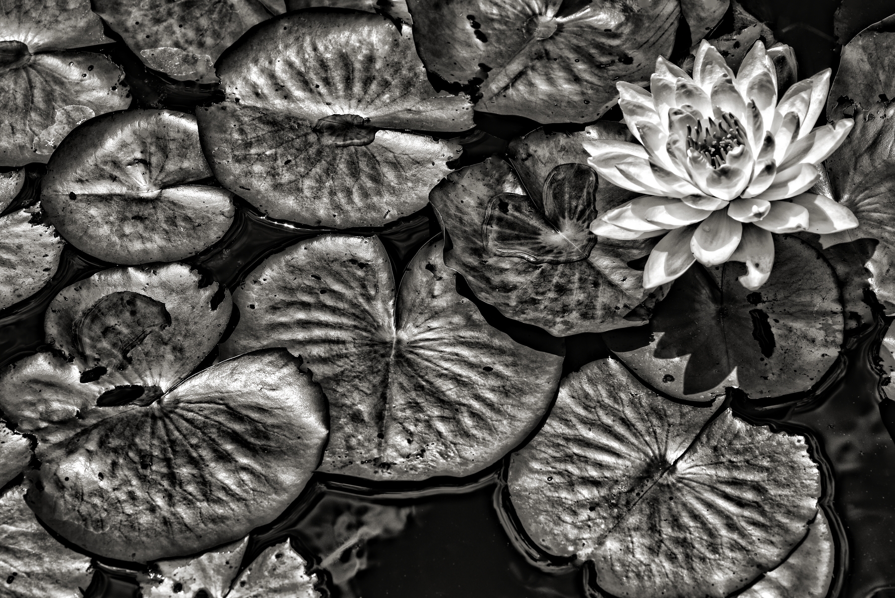  : landscapes & nature : paula berg photography