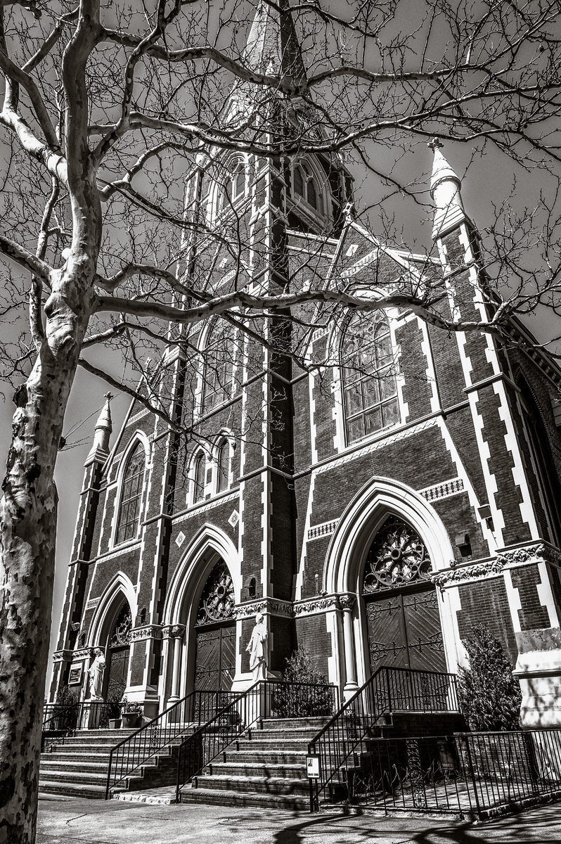 summit street, no. 125 : (re)collecting brooklyn : paula berg photography