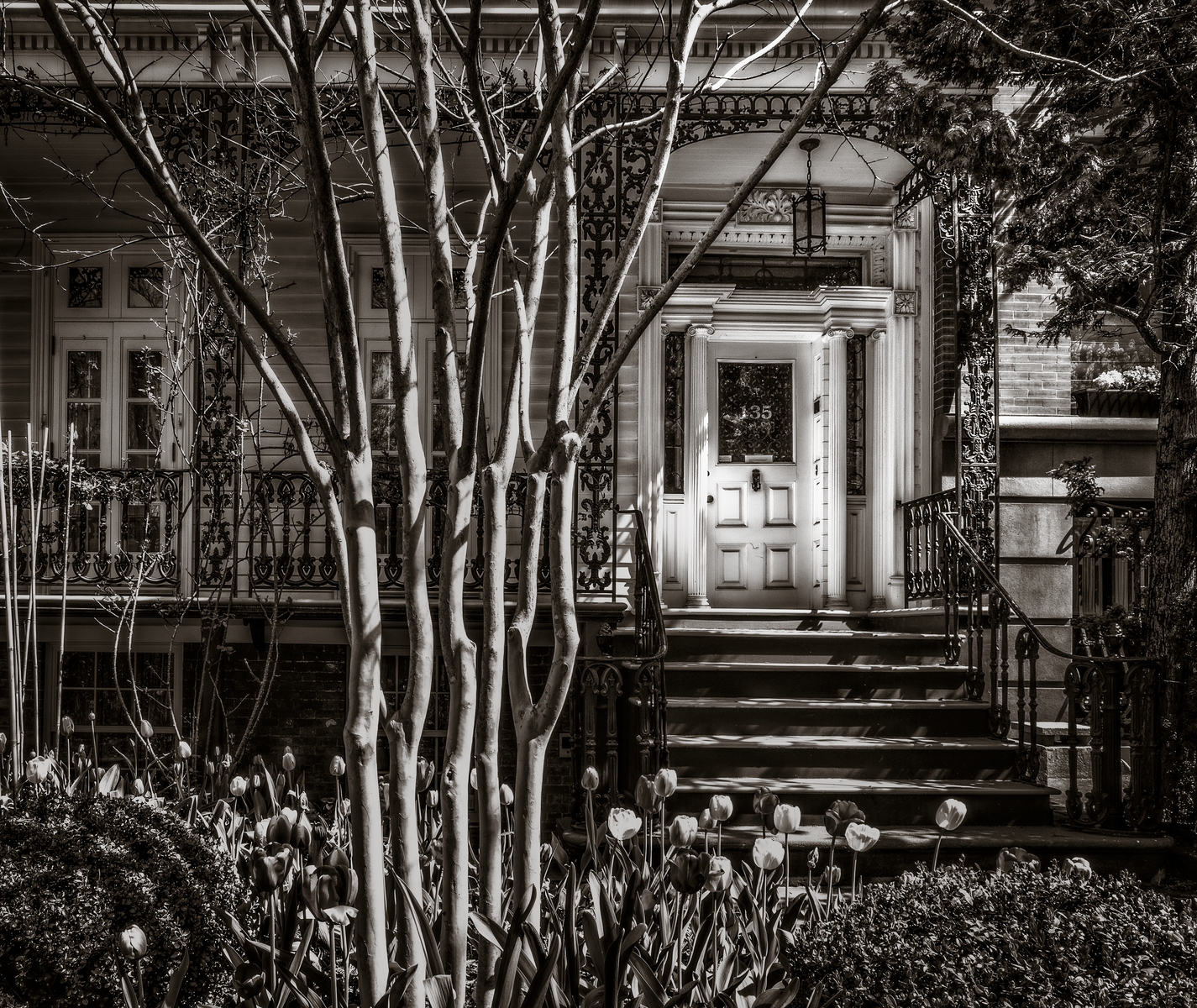 joralemon street, no. 135 : (re)collecting brooklyn : paula berg photography