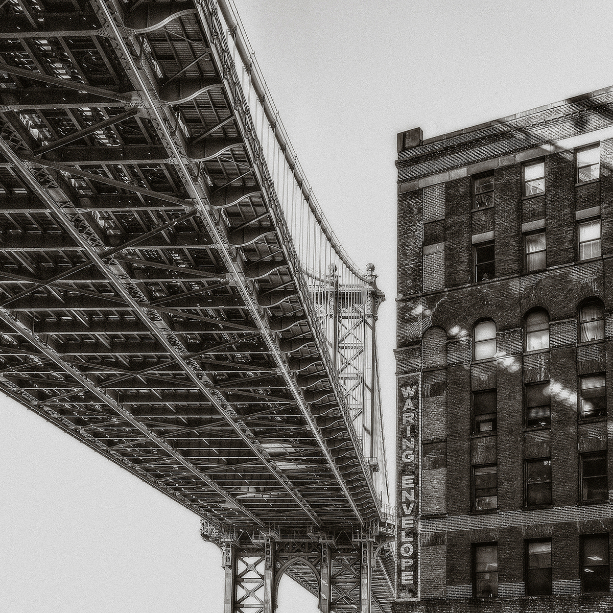 plymouth street, no. 135 : (re)collecting brooklyn : paula berg photography