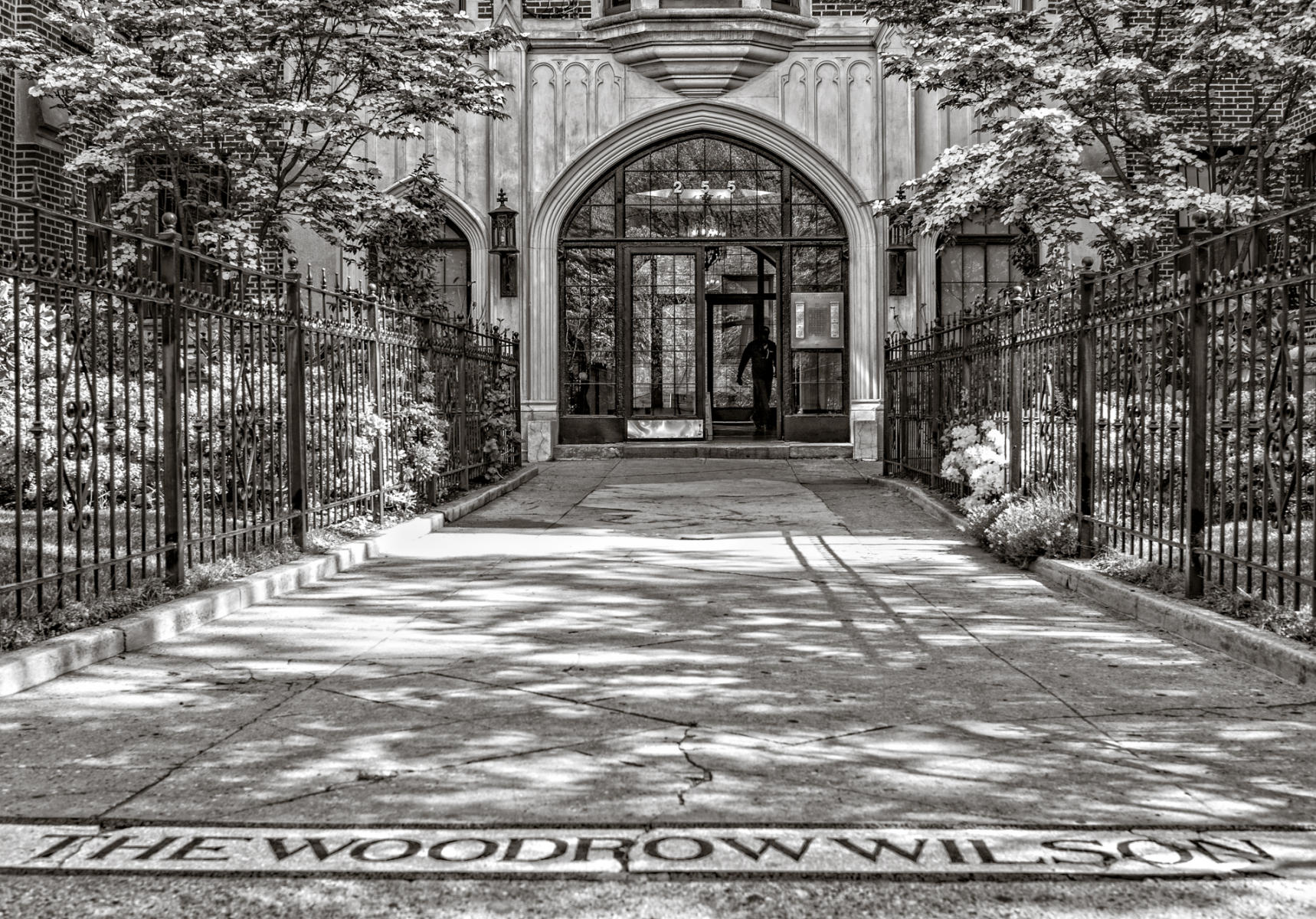 eastern parkway, no. 255 : (re)collecting brooklyn : paula berg photography