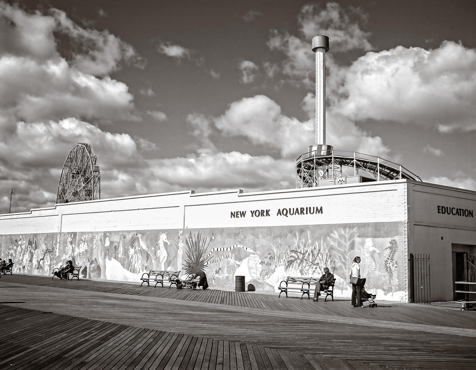 surf avenue, no. 602 : (re)collecting brooklyn : paula berg photography