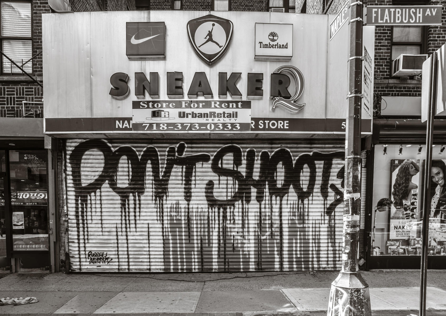 flatbush avenue, no. 556 : (re)collecting brooklyn : paula berg photography