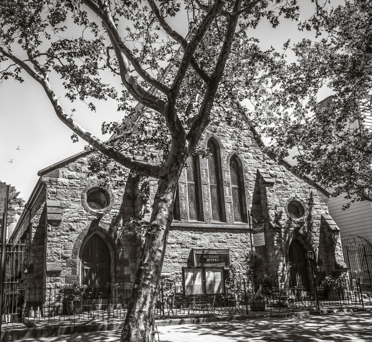 kent street, no. 127 : (re)collecting brooklyn : paula berg photography