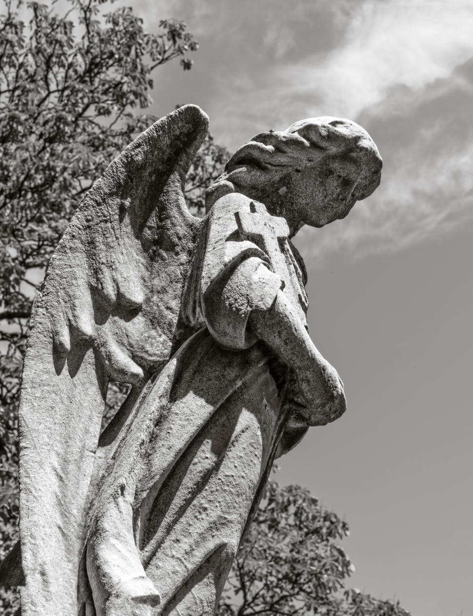 greenwood cemetery : (re)collecting brooklyn : paula berg photography