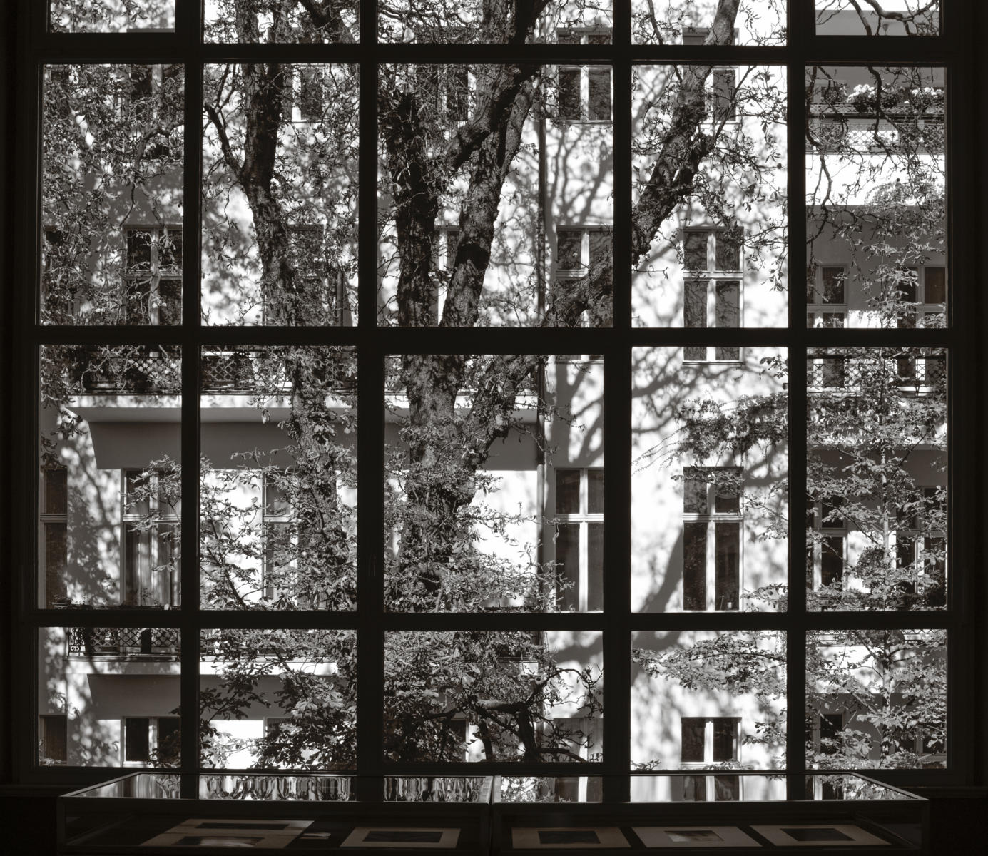 charlottenburg, 2016 : berlin  : paula berg photography