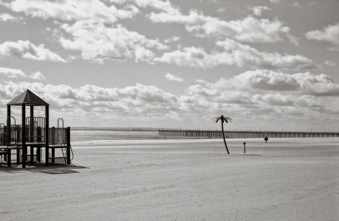 coney island : (re)collecting brooklyn : paula berg photography