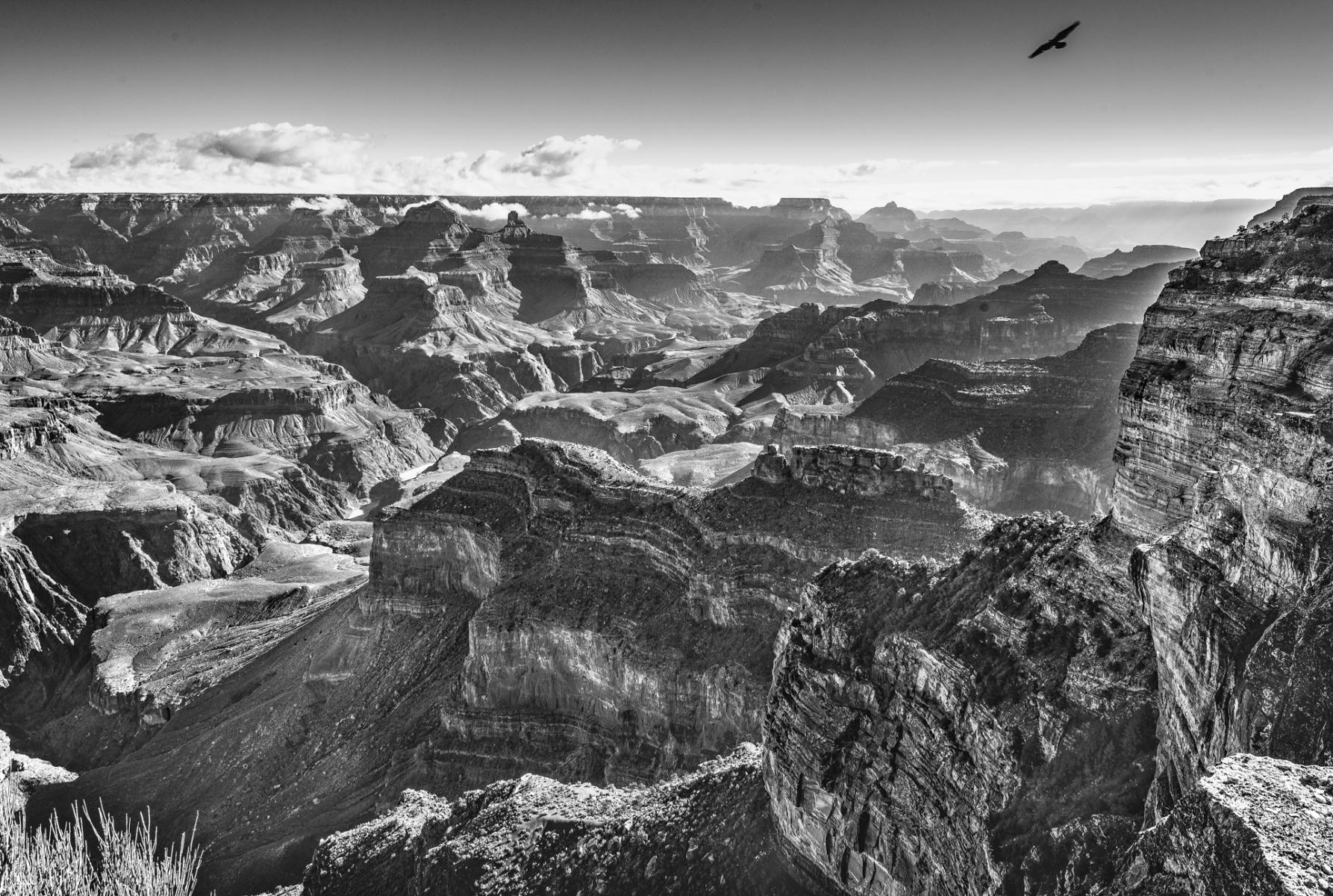grand canyon : landscapes & nature : paula berg photography