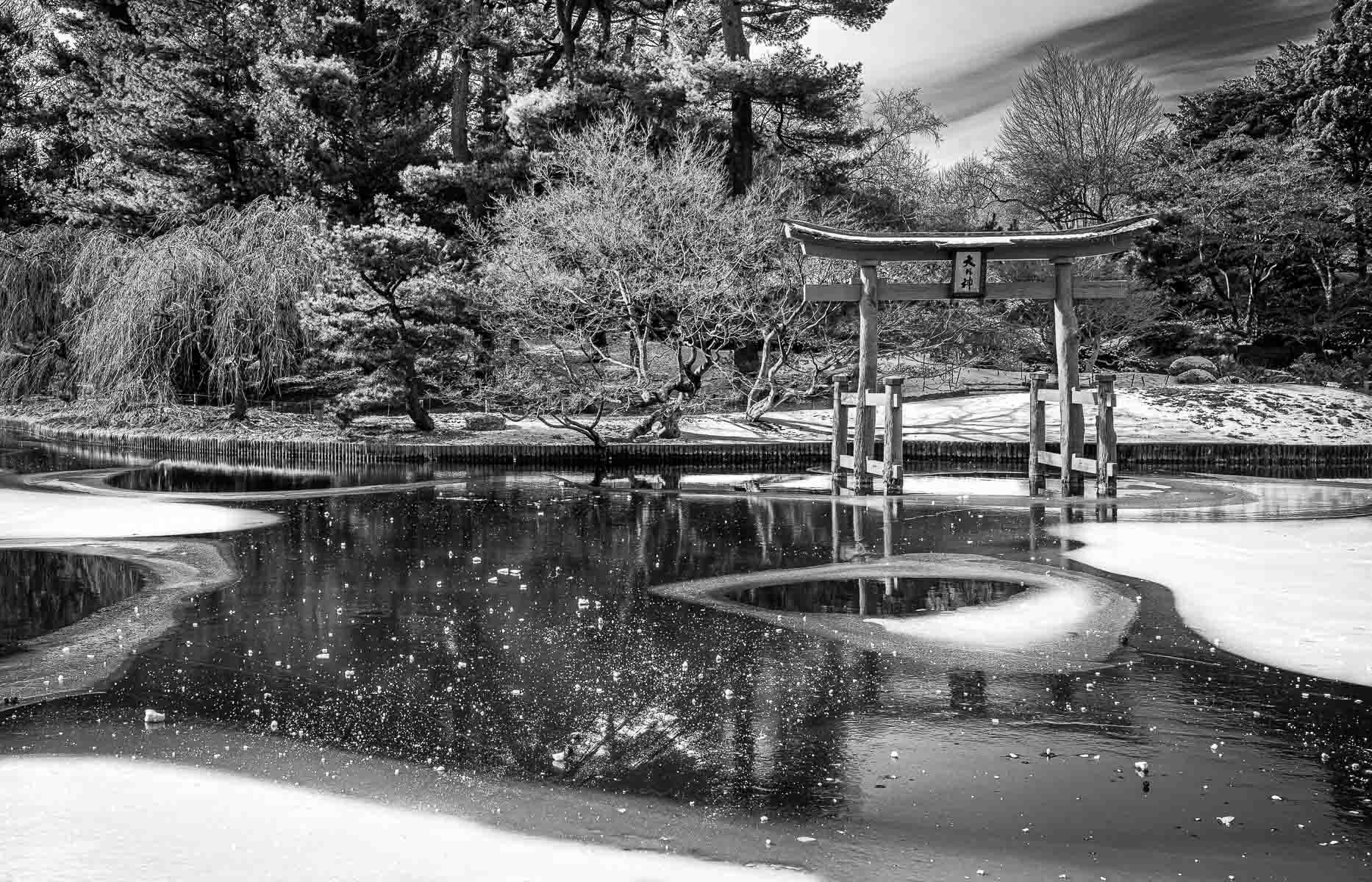 Brooklyn Botanic Garden : landscapes & nature : paula berg photography
