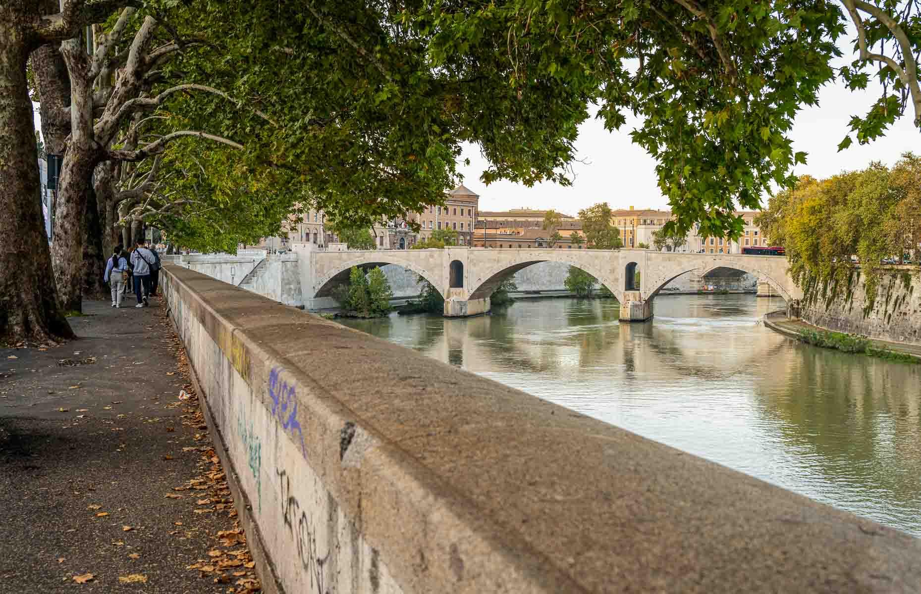 rome  : travel : paula berg photography