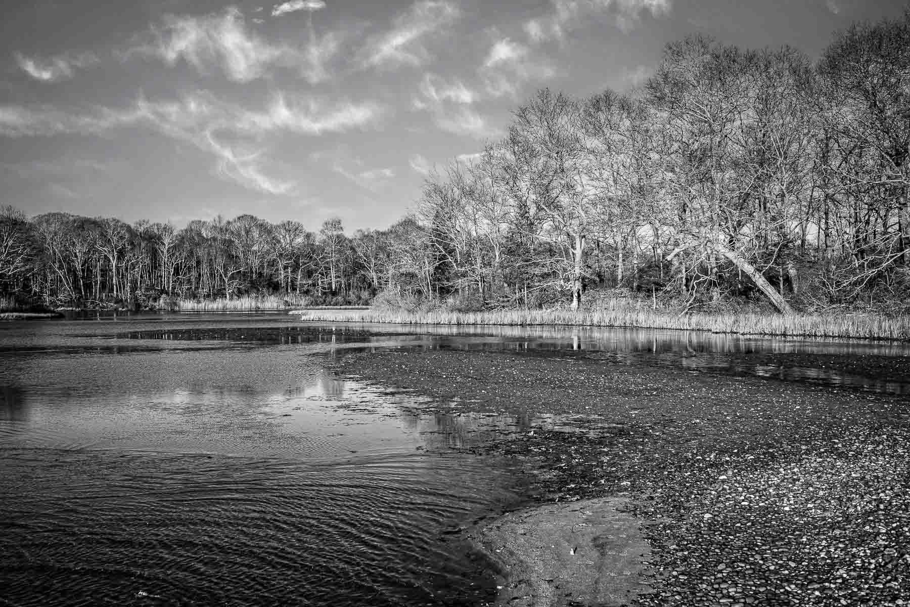  : landscapes & nature : paula berg photography